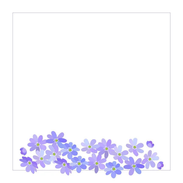 Кордон Блакитної Весни Квітучі Лісові Квіти Гепатіка Ізольовані Білому Тлі — стоковий вектор