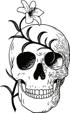 Beyaz Lily 'nin beyaz üzerine izole edilmiş eski moda sanat eserleri olan siyah beyaz bir kafatası çizimi