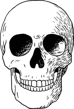 Beyazın üzerinde izole edilmiş eski bir çizimin siyah ve beyaz çizimi