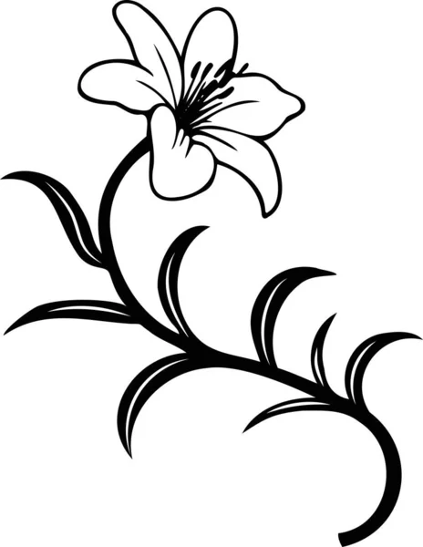 Černobílá Kresba Elegantního Leknínu Retro Line Art Izolované Bílém Symbolu — Stockový vektor