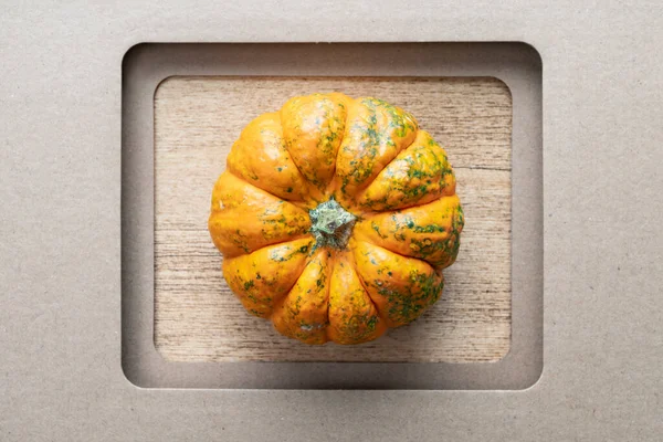 Close Shot Orange Pumpkin Frame Abstract Composition — Stock Photo, Image