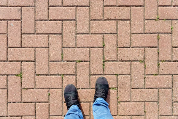Selfie Feet Arrows Road Top View Businessmen Black Shoes Standing — Stock Photo, Image