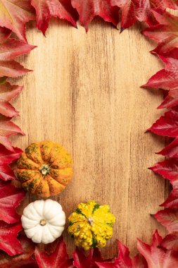 Kabaklı Şükran Günü afişi ve fotokopi alanı olan sonbahar yaprakları.