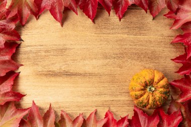 Kabaklı Şükran Günü afişi ve fotokopi alanı olan sonbahar yaprakları.