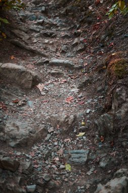 Rocky dağı yüzeyi. Yaklaş.