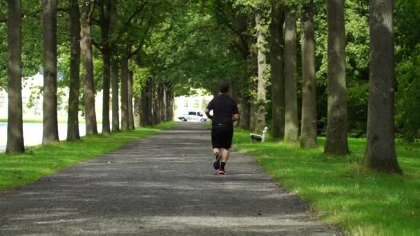 Jovem Mulher Correndo Parque Cidade Dia Verão — Vídeo de Stock