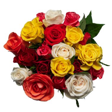 Güzel bir buket gül, beyaz manzarada izole edilmiş.