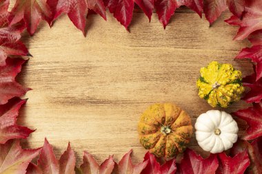 Kabaklı Şükran Günü afişi ve fotokopi alanı olan sonbahar yaprakları.