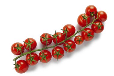 Beyaz zemin üzerinde izole edilmiş Cherry domates dalı yakın plan