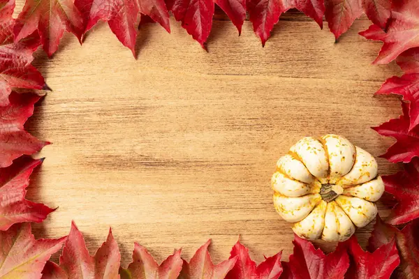 Kabaklı Şükran Günü afişi ve fotokopi alanı olan sonbahar yaprakları.