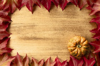 Canlı kırmızı sonbahar yaprakları ve balkabağının yer aldığı, sonbahar, Şükran Günü ve Cadılar Bayramı şenliklerini sembolize eden klasik bir ahşap arka plan..