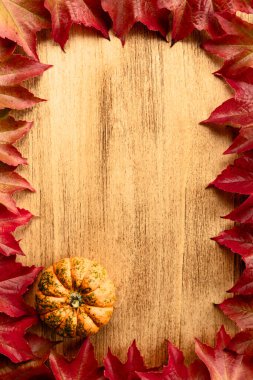 Canlı kırmızı sonbahar yaprakları ve balkabağının yer aldığı, sonbahar, Şükran Günü ve Cadılar Bayramı şenliklerini sembolize eden klasik bir ahşap arka plan..