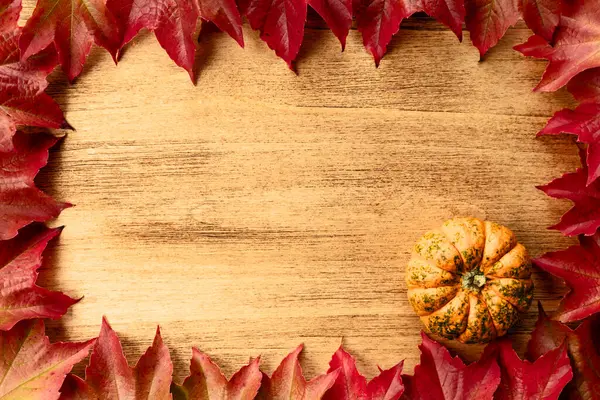 Canlı kırmızı sonbahar yaprakları ve balkabağının yer aldığı, sonbahar, Şükran Günü ve Cadılar Bayramı şenliklerini sembolize eden klasik bir ahşap arka plan..