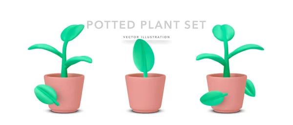 Set Realistic Potted Plant Shadow Isolated White Background Vector Illustration — стоковый вектор