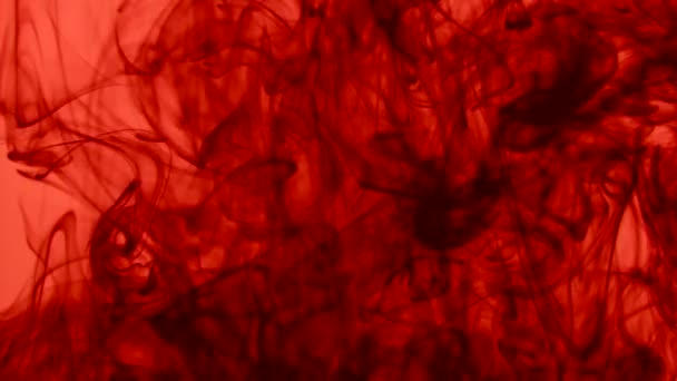 血滴入装有水的容器中 水中的红色液体 液体的液滴混合在一起 — 图库视频影像