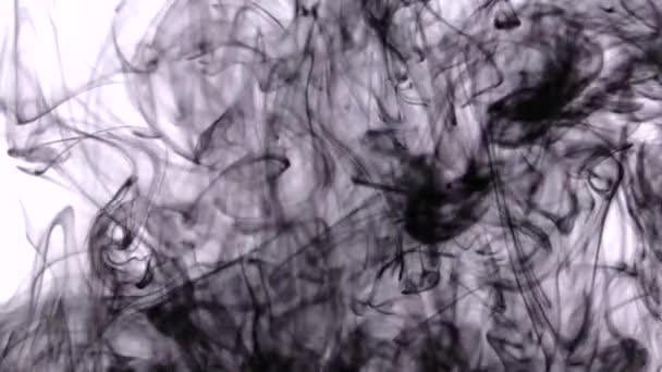Mescolare Materia Nera Uno Sfondo Bianco Fumo Nero Nello Spazio — Video Stock