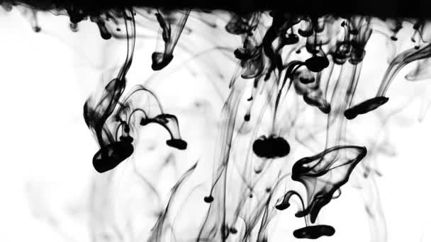 Fekete Folyadék Csöpög Egy Víztartályba Festék Vízben Folyadékcseppek Vegyesek — Stock videók
