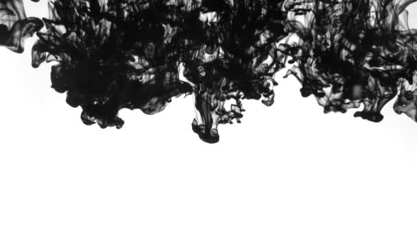 Fekete Anyag Keverése Fehér Háttérrel Fekete Füst Űrben Levegő Víz — Stock videók