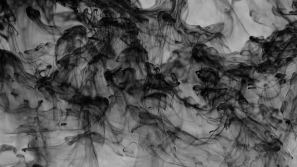 把黑色物质和白色背景混合在一起 太空中的黑烟空气和水的纹理 黑色和白色 — 图库视频影像