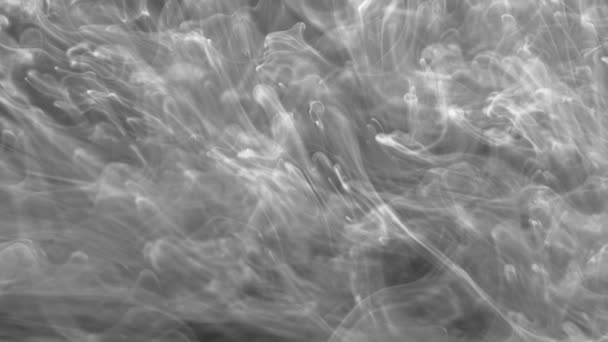 Mischen Schwarzer Materie Auf Weißem Hintergrund Schwarzer Rauch All Luft — Stockvideo