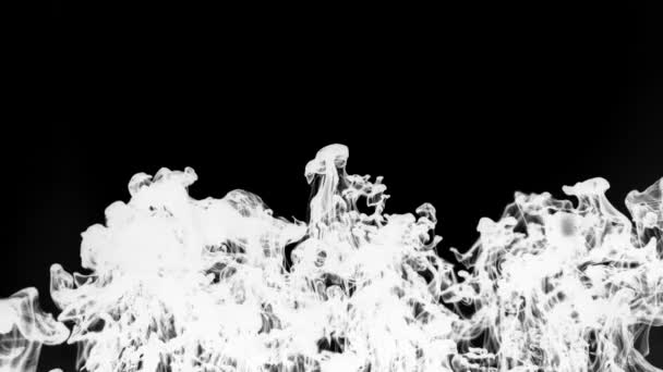Beyaz Arka Planda Siyah Madde Karışımı Uzayda Siyah Duman Hava — Stok video