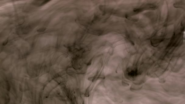 把黑色物质和白色背景混合在一起 太空中的黑烟空气和水的纹理 黑色和白色 — 图库视频影像