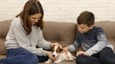 Bir kız ve erkek, Jack Russell 'ın köpeğiyle oynuyor. Evde kanepede el köpeği başıyla okşamak..   