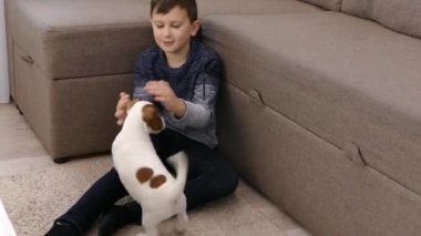 Bir çocuk Jack Russell 'ın köpeğiyle oynuyor. Evde kanepede el köpeği başıyla okşayın..   