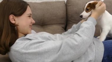 Bir kız Jack Russell 'ın köpeğiyle oynuyor. Evde kanepede el köpeği başıyla okşa..