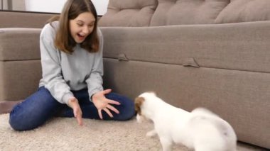 Bir kız Jack Russell 'ın köpeğiyle oynuyor. Evde kanepede el köpeği başıyla okşa..