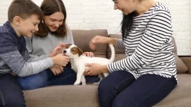 Çocuklar Jack Russell 'ın köpeğiyle oynarlar. Evde kanepede el köpeği başıyla okşa..