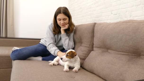 Uma Menina Acaricia Com Cabeça Cão Mão Pet Sofá Casa — Vídeo de Stock