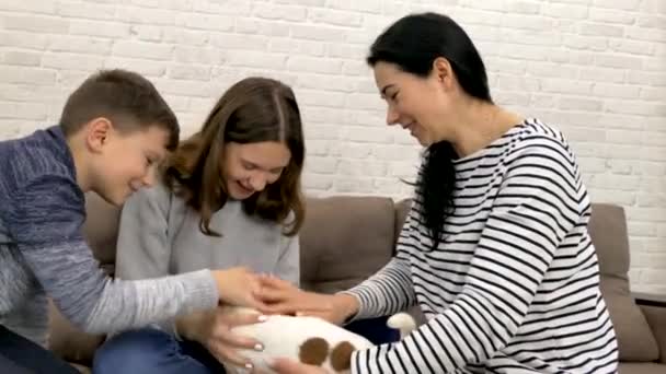 Barn Leker Med Jack Russell Valp Slå Med Hundens Huvud — Stockvideo