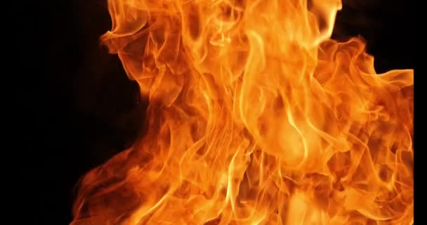 Große Feuerflamme Auf Schwarzem Hintergrund Starkes Feuer Gefährliche Bombenexplosion Entzündbar — Stockvideo