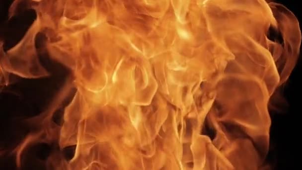 黒い背景に火の大きな炎 強烈な火災 危険な爆弾の爆発 可燃性のイグニッション — ストック動画