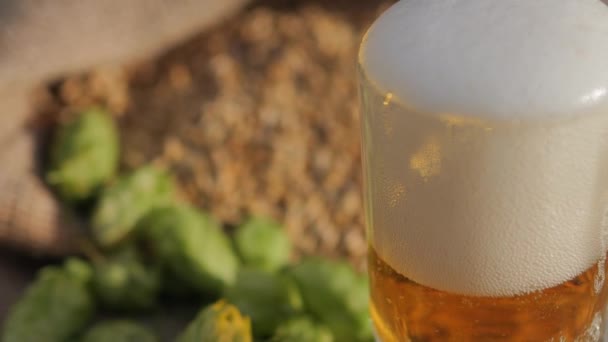 Bier Wordt Een Glas Gegoten Hopbellen Gerstekorrels Voor Productie Van — Stockvideo