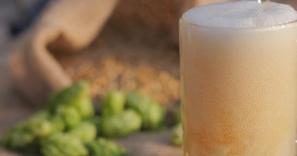 Bier Wird Ein Glas Gegossen Hopfenzapfen Und Gerstenkörner Für Die — Stockvideo