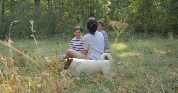 幸福的家庭安居乐业 带着狗和孩子在森林公园里散步 在温暖的秋日坐在草地上 — 图库视频影像