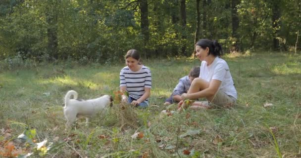 Happy Family Rests Nature Walk Forest Park Dog Children Sitting — Stock Video
