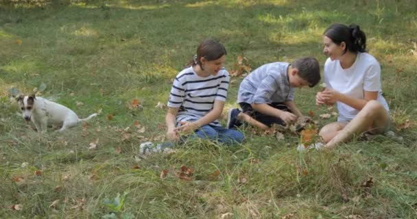 Šťastná Rodina Odpočívá Přírodě Projděte Lesoparku Psem Dětmi Sedět Trávě — Stock video