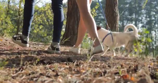 Anne Kızı Doğada Dinleniyor Köpeği Gezdiriyorlar Ormanda Temiz Hava Park — Stok video