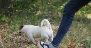 Parkta köpeği olan bir kız.