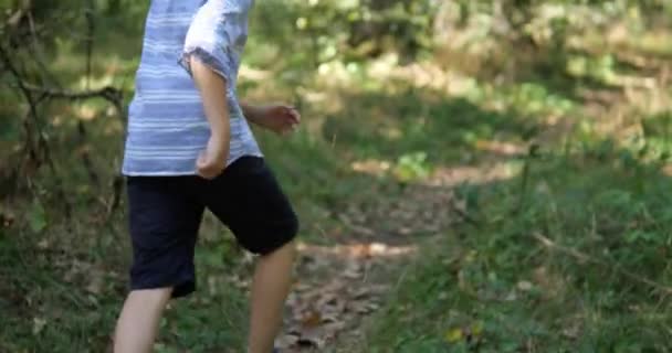 Garçon Courir Avec Chien Dans Forêt — Video