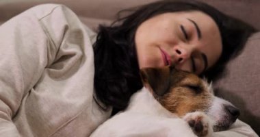 Kanepede köpeğin yanında dinleniyor. Sarıl ve evcil hayvan besle. Bir kadın elleriyle Jack Russell 'ın kulaklarını okşuyor. Aşk köpeği.
