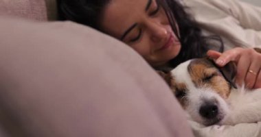 Kanepede köpeğin yanında dinleniyor. Sarıl ve evcil hayvan besle. Bir kadın elleriyle Jack Russell 'ın kulaklarını okşuyor. Aşk köpeği.