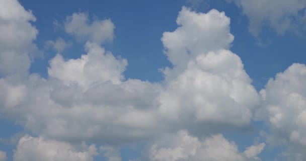 Beaux Nuages Blancs Enroulent Volent Sur Fond Ciel Bleu — Video