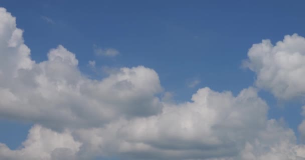 Όμορφα Άσπρα Σύννεφα Μπούκλα Και Πετούν Πάνω Από Φόντο Του — Αρχείο Βίντεο