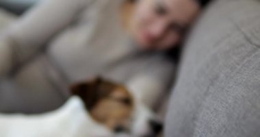 Kanepede köpekle yatmak. Sarıl ve evcil hayvanla oyna. Bir kadın Jack Russell 'ı eliyle okşuyor. Aşk köpeği.