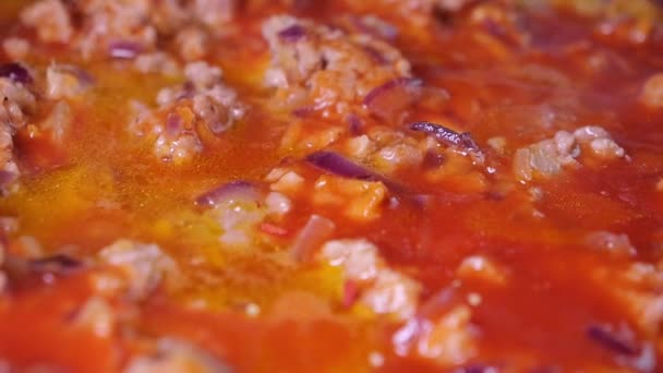 Prato Carne Picada Molho Tomate Verduras Prepara Uma Panela — Vídeo de Stock