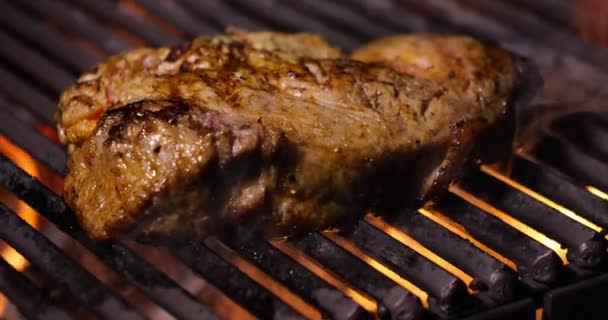 Filete Carne Fríe Parrilla Cocinar Comida Aire Libre Picnic — Vídeos de Stock